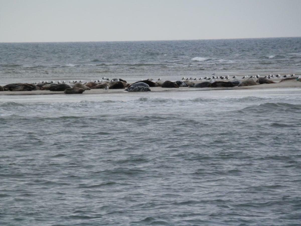 Jugendherberge Westerland Exteriör bild