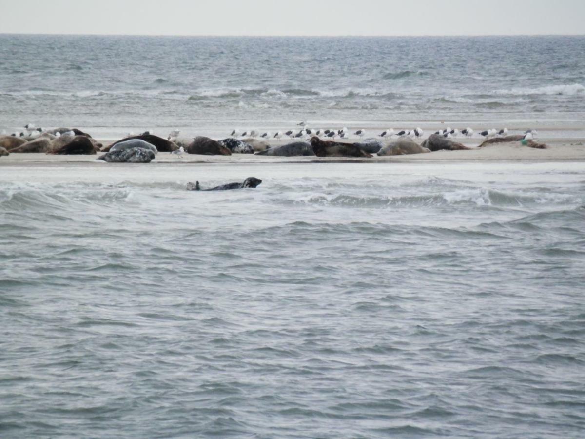 Jugendherberge Westerland Exteriör bild